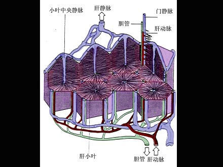 Dfiv67UQX3.png