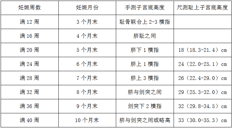 不同妊娠周数的子宫底高度及子宫长度答案解析:进入题库练习参考答案